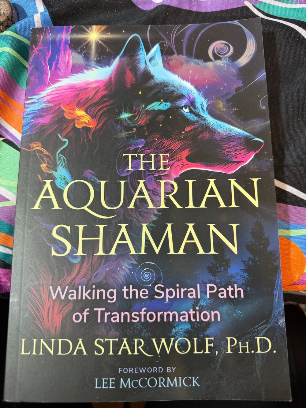 The Aquarian Shaman — Vibrant Multicolor Paperback by